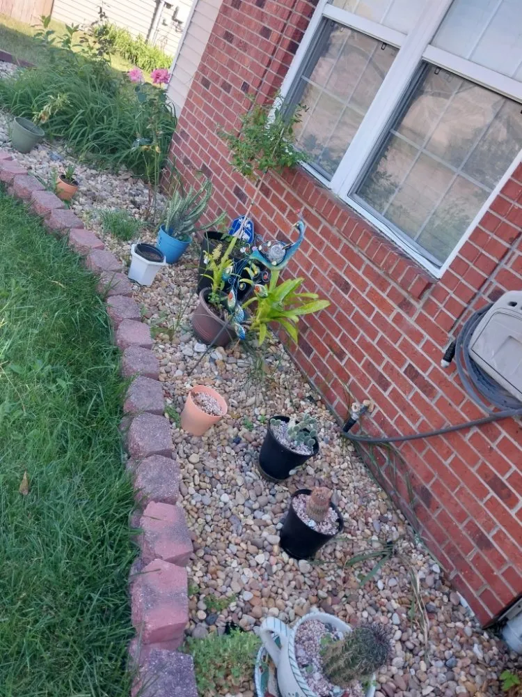 Custom residential landscaping in Evansville, IN by All In One Services