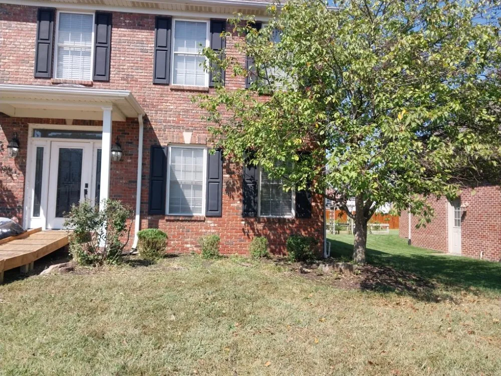 Custom yard cleanup service in Evansville, IN - All In One Services