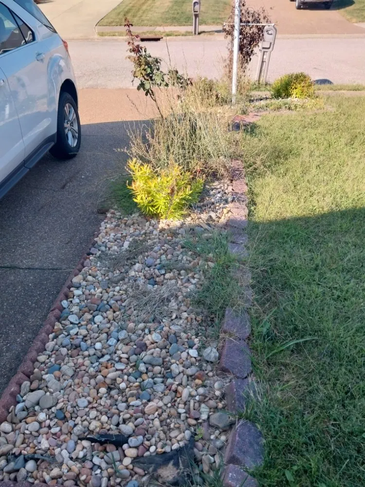 Professional residential landscaping near you in Evansville, IN by All In One Services