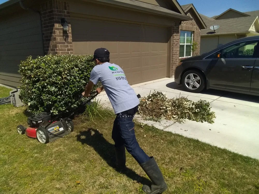 Top-rated yard cleanup service in Austin, TX by All In One Solution