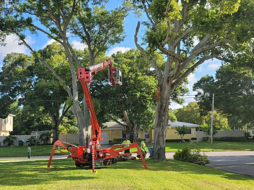 Trusted landscape design experts serving Clearwater, FL - All In One Tree And Lawn Service
