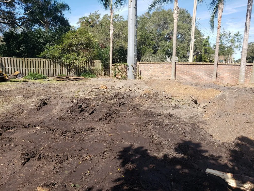 Local lawn mowing service in Clearwater, FL by All In One Tree And Lawn Service