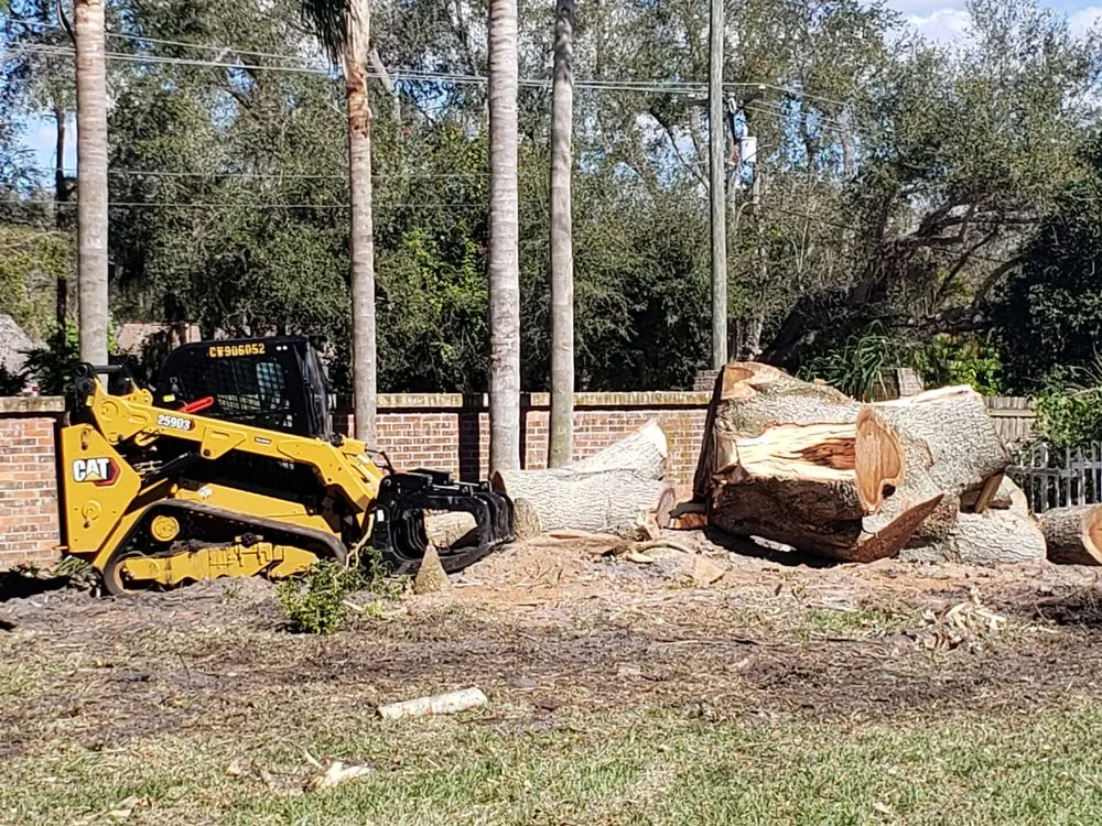 Expert yard maintenance for homes across Clearwater, FL - All In One Tree And Lawn Service