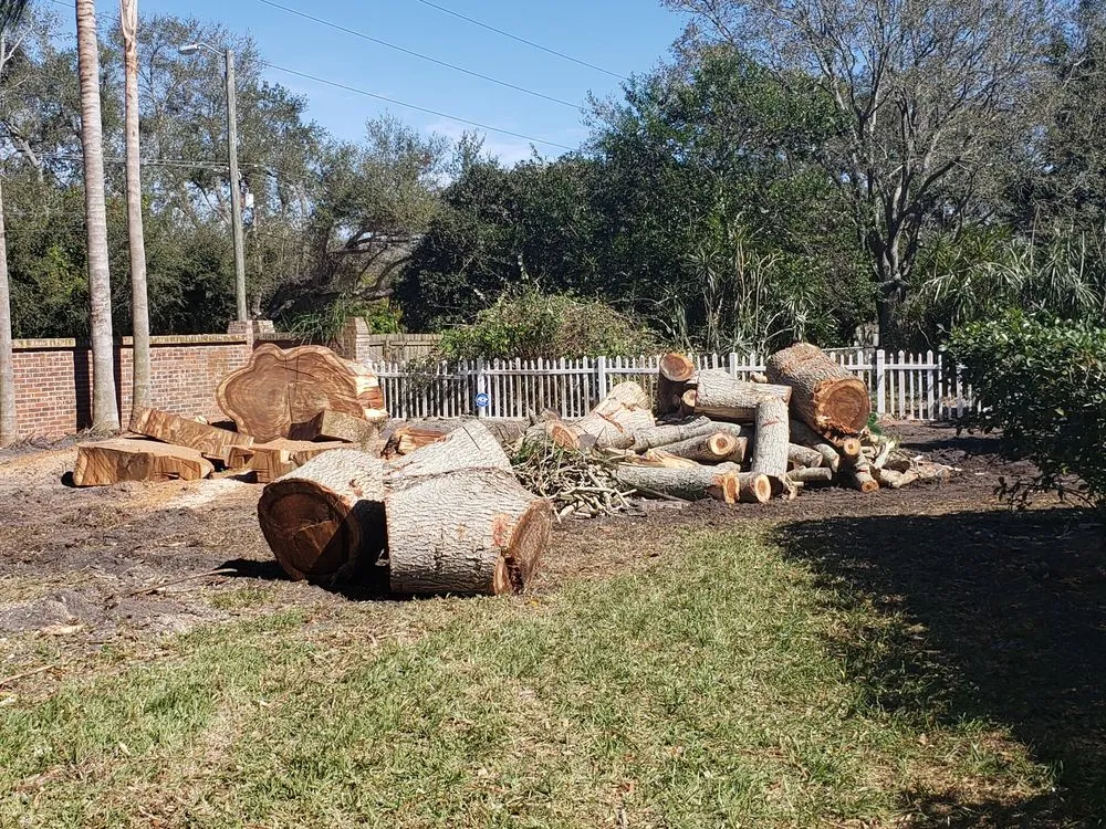 Trusted residential landscaping in Clearwater, FL by All In One Tree And Lawn Service