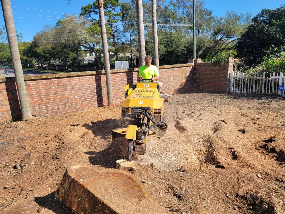 Affordable lawn mowing service in Clearwater, FL by All In One Tree And Lawn Service