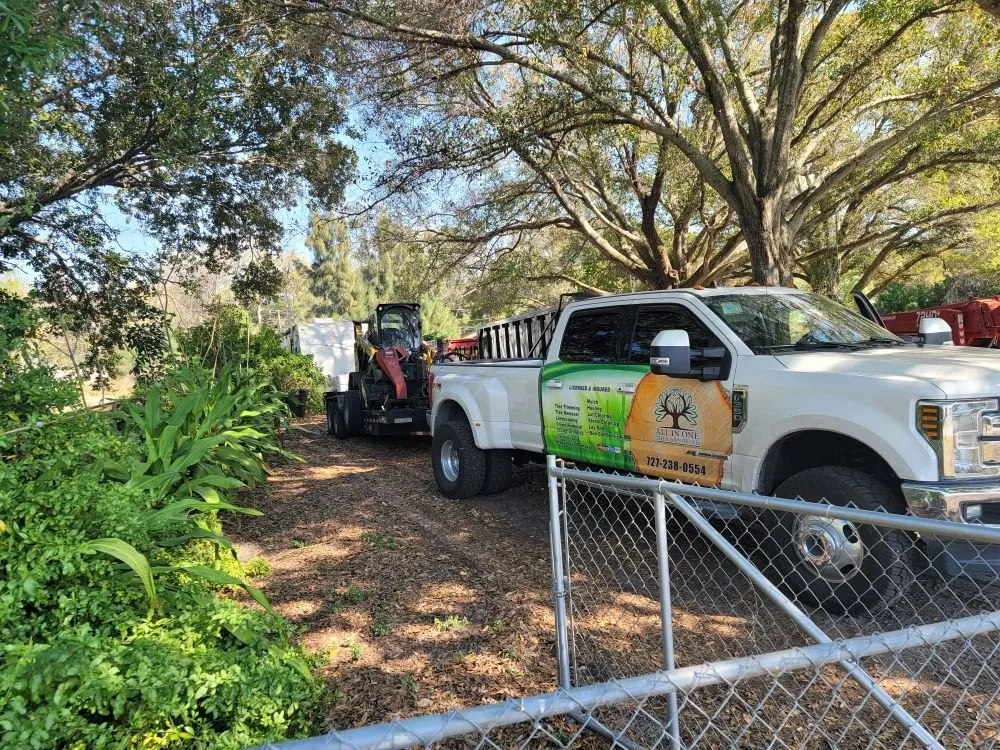 Top-rated lawn care service for year-round maintenance across Clearwater, FL - All In One Tree And Lawn Service