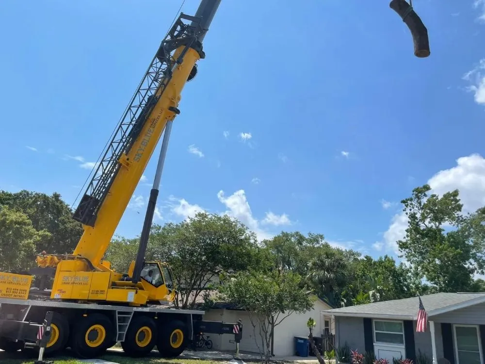 Professional garden landscaping in Clearwater, FL - All In One Tree And Lawn Service