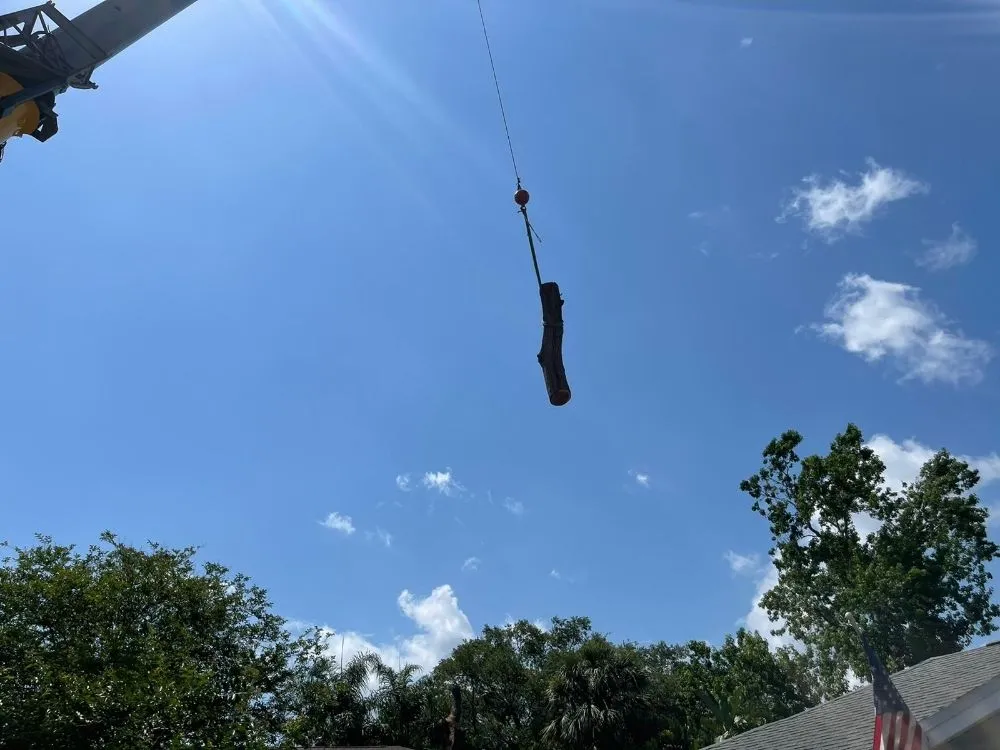 Expert residential landscaping for residential properties in Clearwater, FL by All In One Tree And Lawn Service