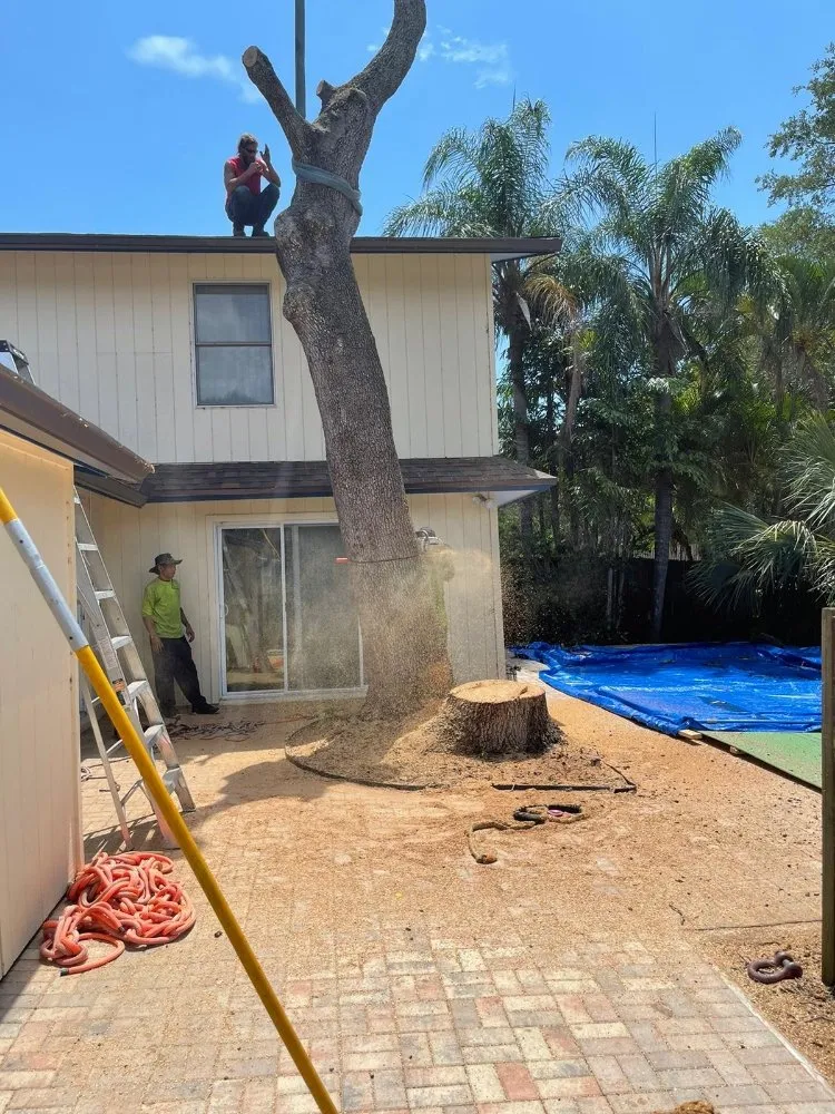 Professional landscape design with custom design across Clearwater, FL - All In One Tree And Lawn Service