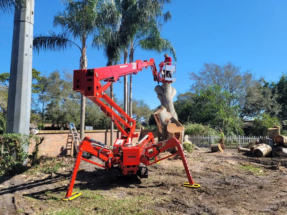 Trusted yard maintenance in Clearwater, FL - All In One Tree And Lawn Service
