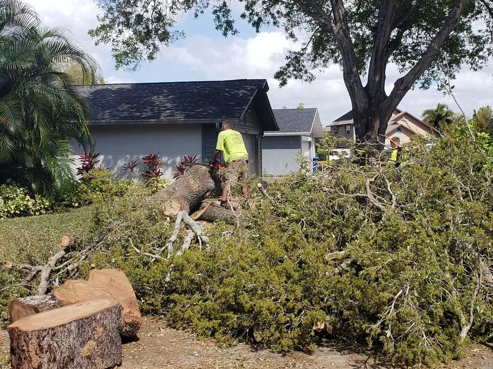 Trusted garden landscaping experts serving Clearwater, FL - All In One Tree And Lawn Service