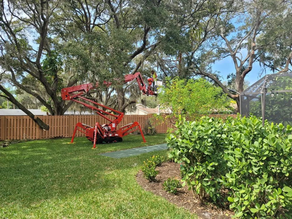 Trusted landscape design in Clearwater, FL by All In One Tree And Lawn Service