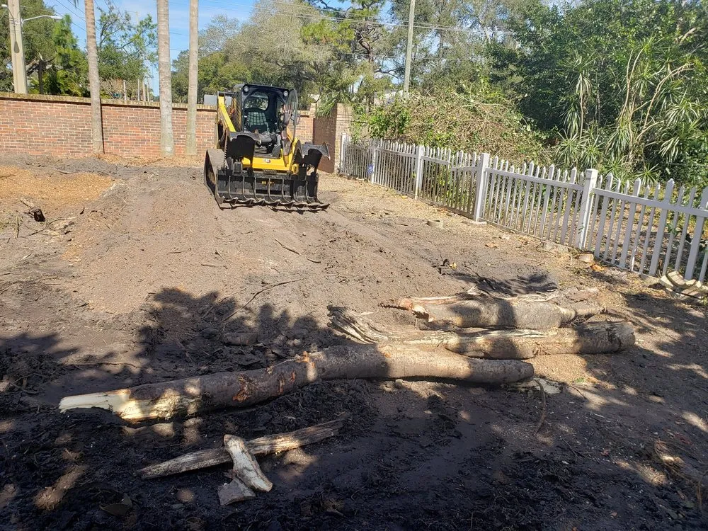 Affordable landscape installation in Clearwater, FL - All In One Tree And Lawn Service