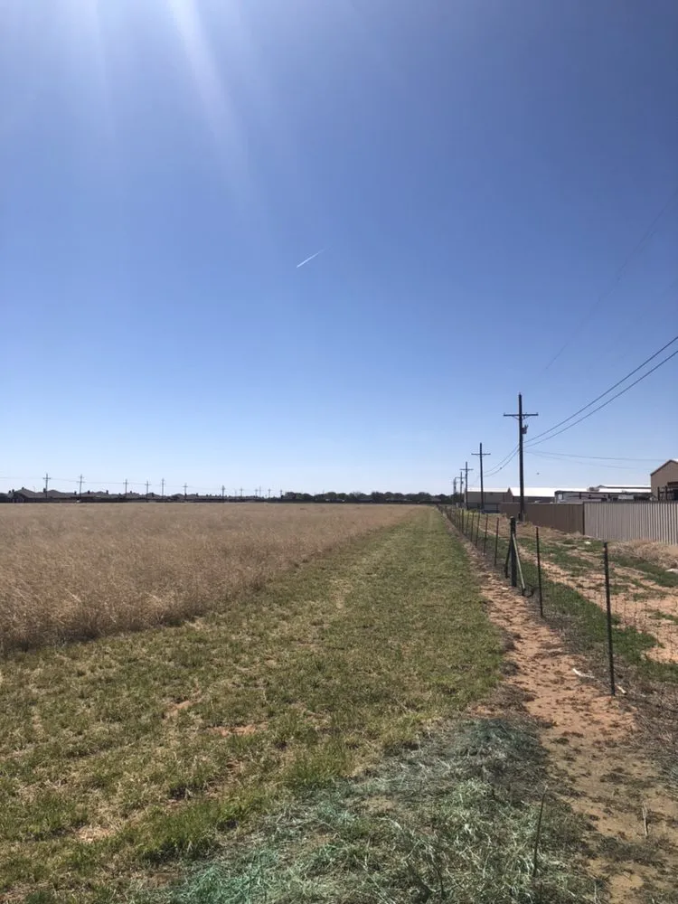 Local landscaping services in Lubbock, TX by ALL-IN Property Services