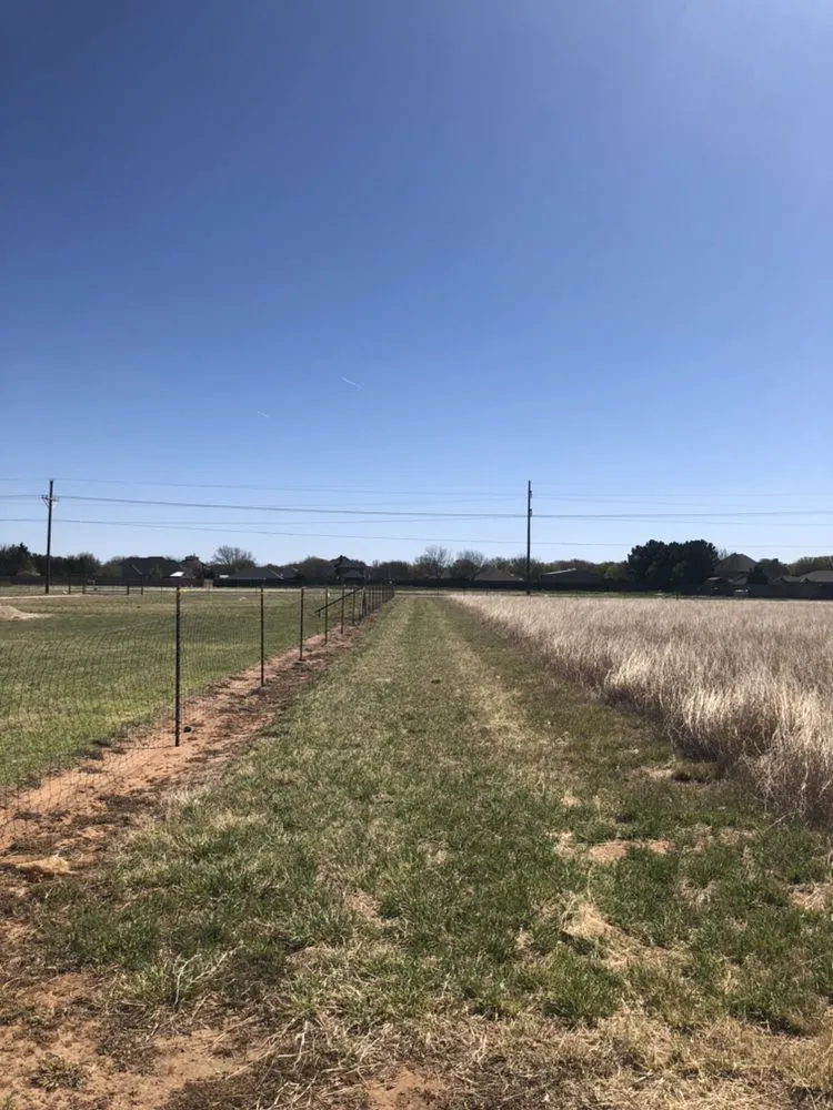 Professional landscaping services in Lubbock, TX by ALL-IN Property Services