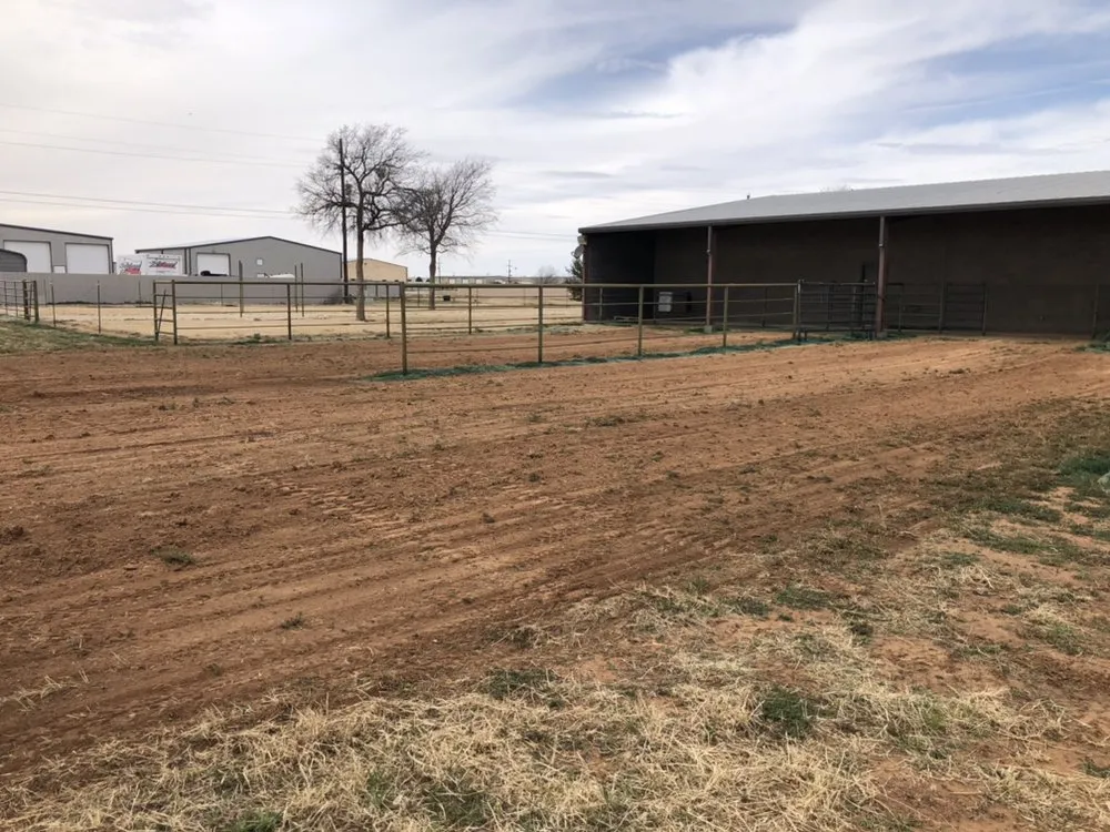 Trusted yard cleanup service for homes across Lubbock, TX - ALL-IN Property Services