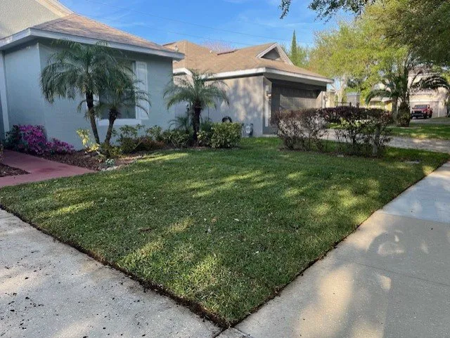 Local landscape installation in Tampa, FL - All in Sod