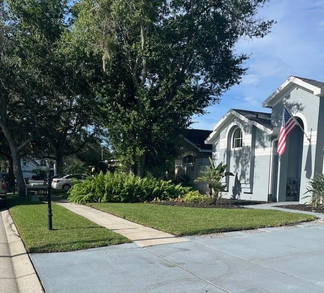 Professional yard cleanup service near you across Tampa, FL - All in Sod