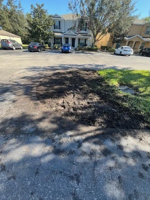 Local lawn mowing service in Tampa, FL by All in Sod