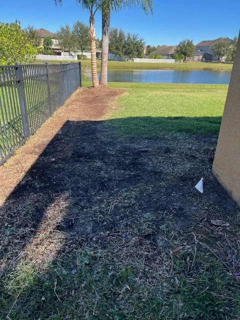 Professional yard maintenance near you across Tampa, FL - All in Sod