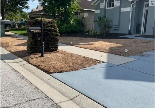 Custom residential landscaping in Tampa, FL - All in Sod