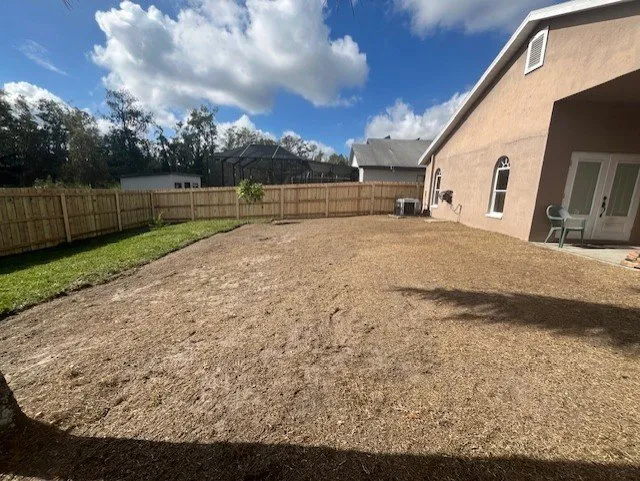 Top-rated landscape installation in Tampa, FL by All in Sod
