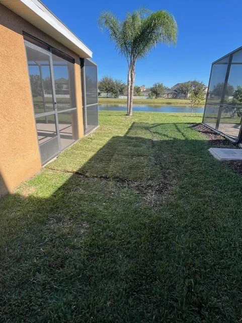 Custom lawn care service for year-round maintenance in Tampa, FL by All in Sod