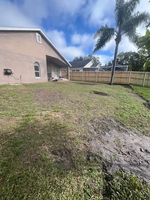 Expert outdoor landscaping in Tampa, FL - All in Sod