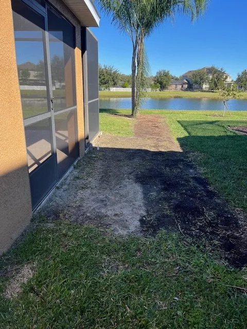 Custom yard cleanup service for homes in Tampa, FL by All in Sod