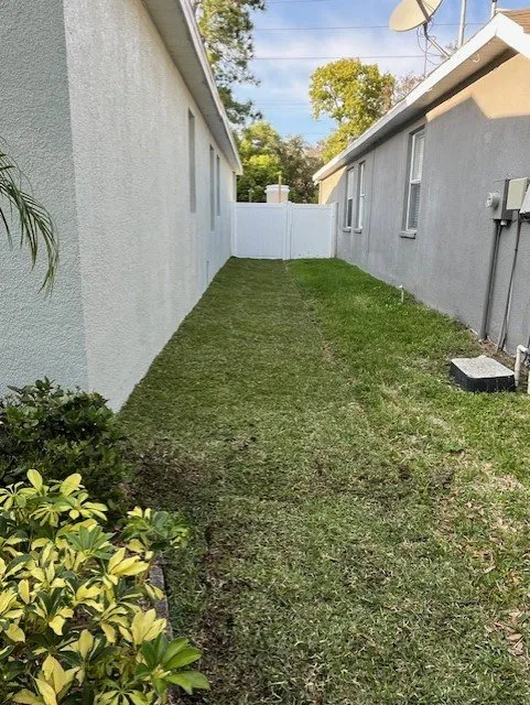 Custom outdoor landscaping near you across Tampa, FL - All in Sod