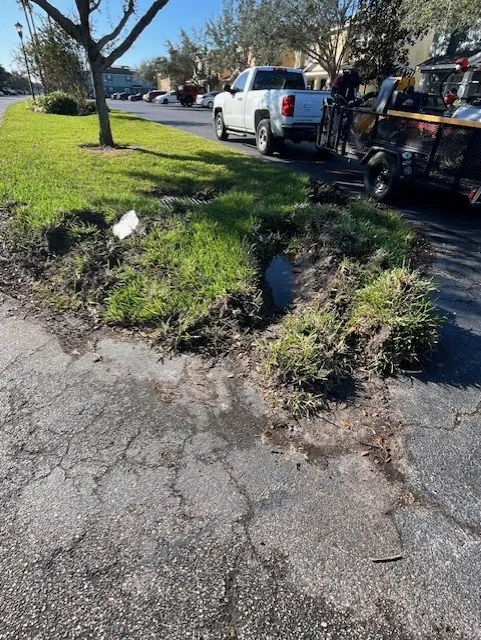 Top-rated yard maintenance with custom design across Tampa, FL - All in Sod