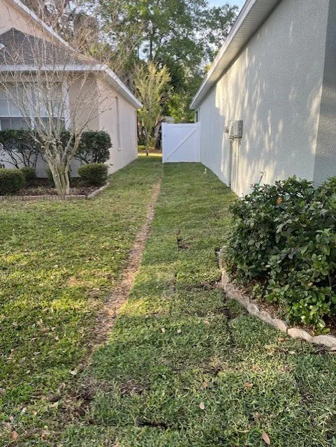 Professional lawn mowing service experts serving Tampa, FL - All in Sod