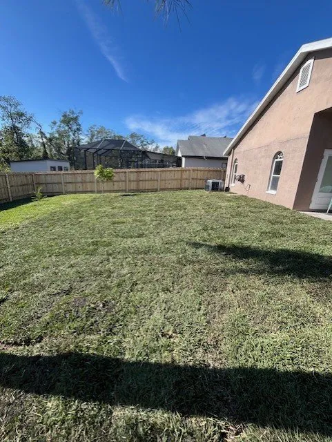 Affordable outdoor landscaping experts serving Tampa, FL - All in Sod