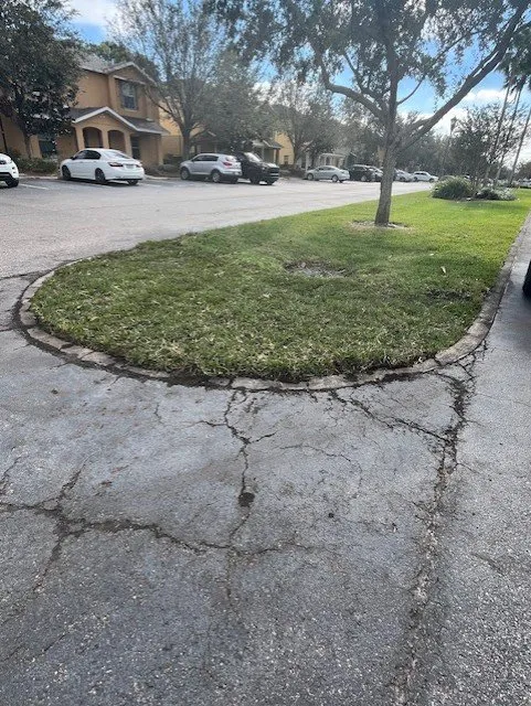 Expert landscape design in Tampa, FL by All in Sod