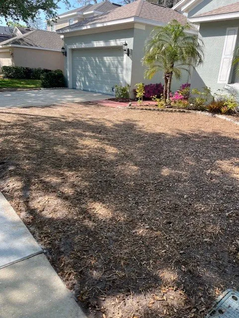 Trusted garden landscaping in Tampa, FL by All in Sod