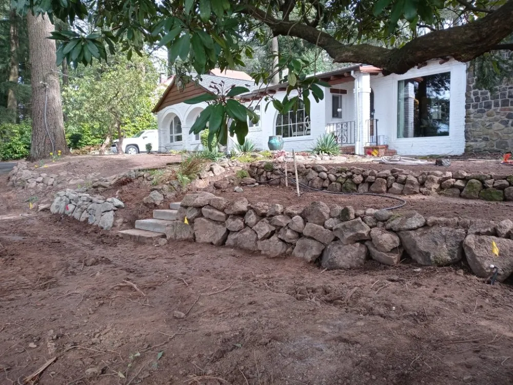 Expert yard cleanup service in Salt Lake City, UT - All in that services