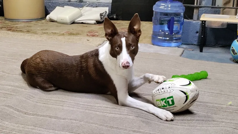 Expert residential landscaping experts serving Salt Lake City, UT - All in that services