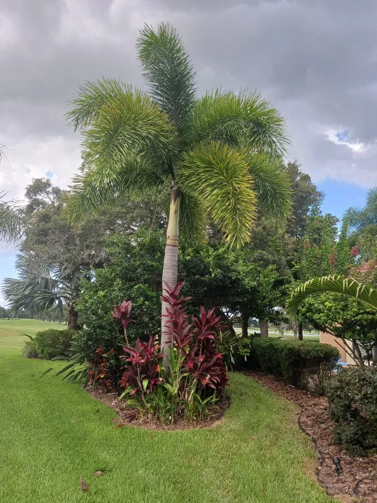 Affordable yard cleanup service in Hudson, FL - All In The Details
