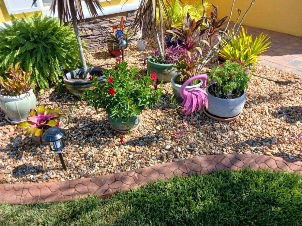 Trusted outdoor landscaping experts serving Hudson, FL - All In The Details
