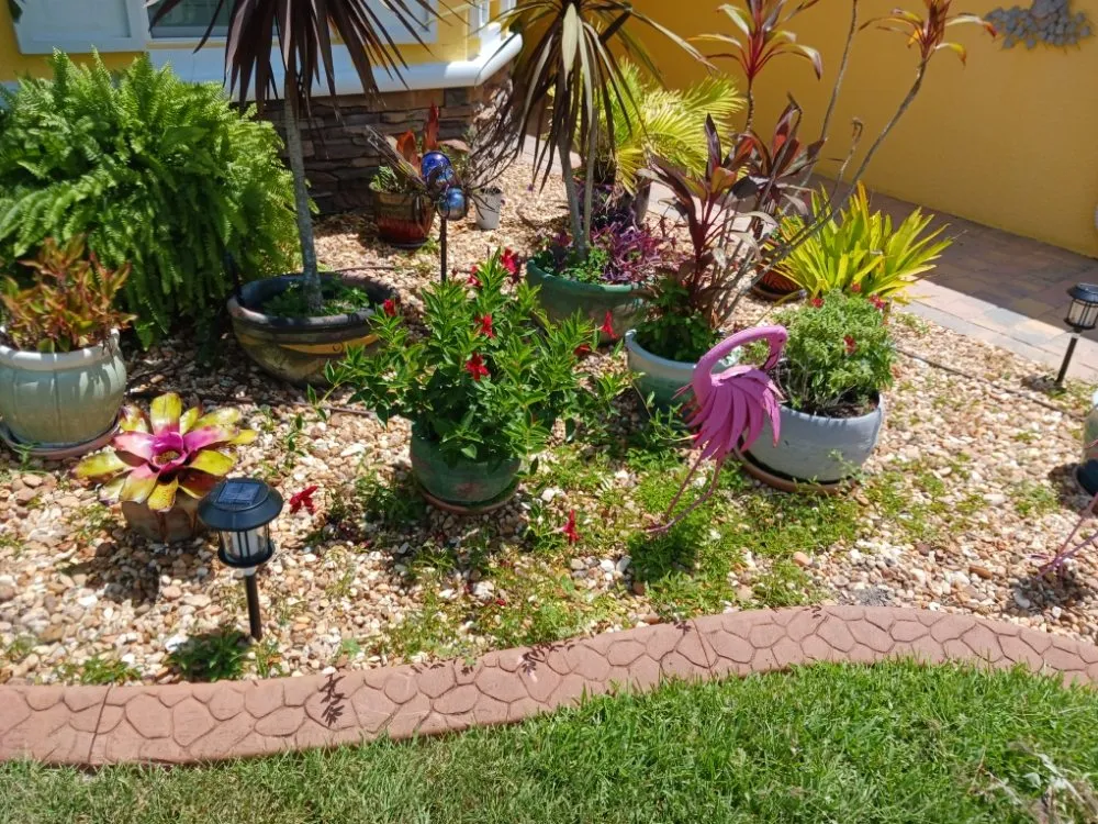 Reliable landscape installation for residential properties across Hudson, FL - All In The Details