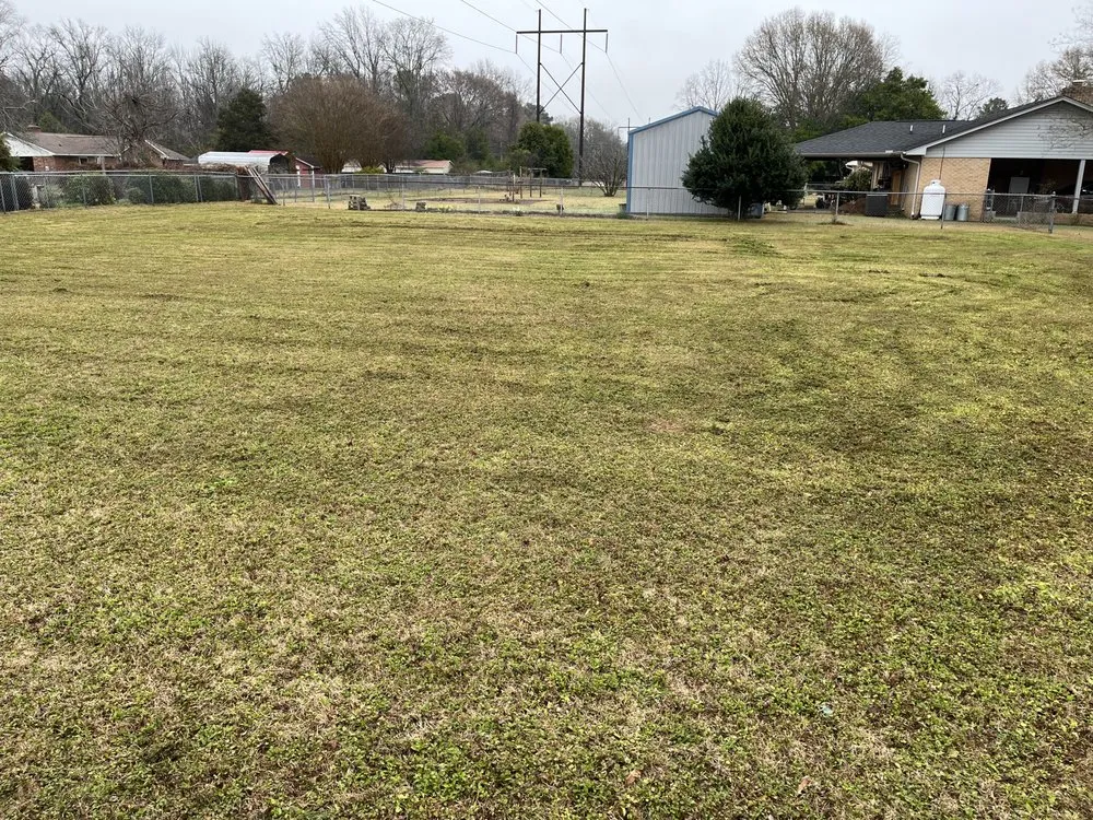 Local yard cleanup service experts serving Sumter, SC - All In Your Grass Lawn Care