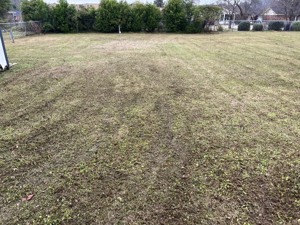 Reliable residential landscaping experts serving Sumter, SC - All In Your Grass Lawn Care