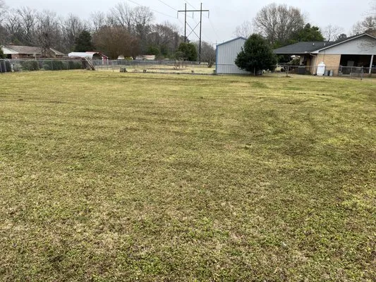 All In Your Grass Lawn Care Logo