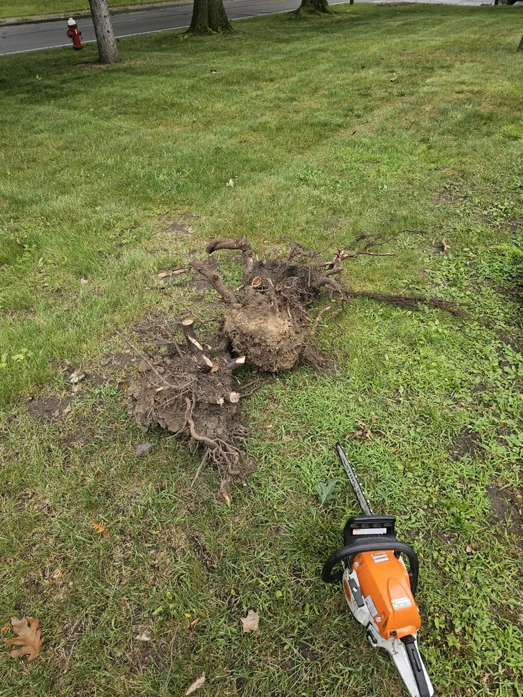 Affordable landscaping services for residential properties across Toledo, OH - All Inclusive Contractors