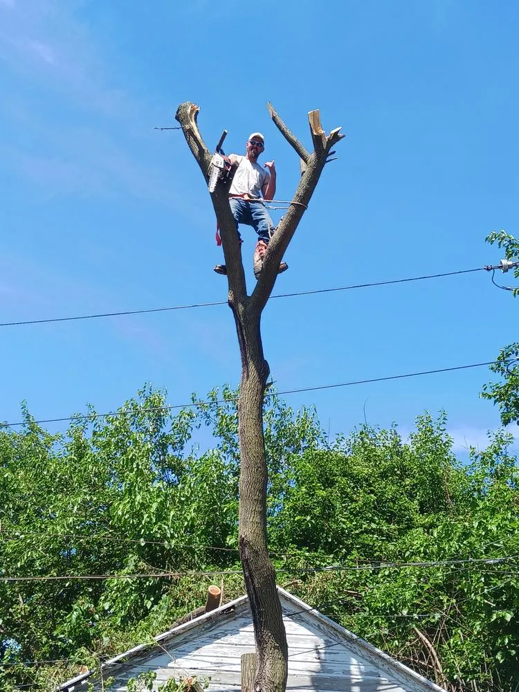 Custom outdoor landscaping in Toledo, OH - All Inclusive Contractors