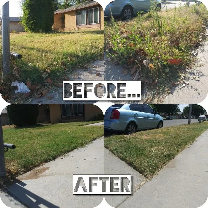 Custom yard cleanup service with custom design across Fresno, CA - All Is Well Lawn Care