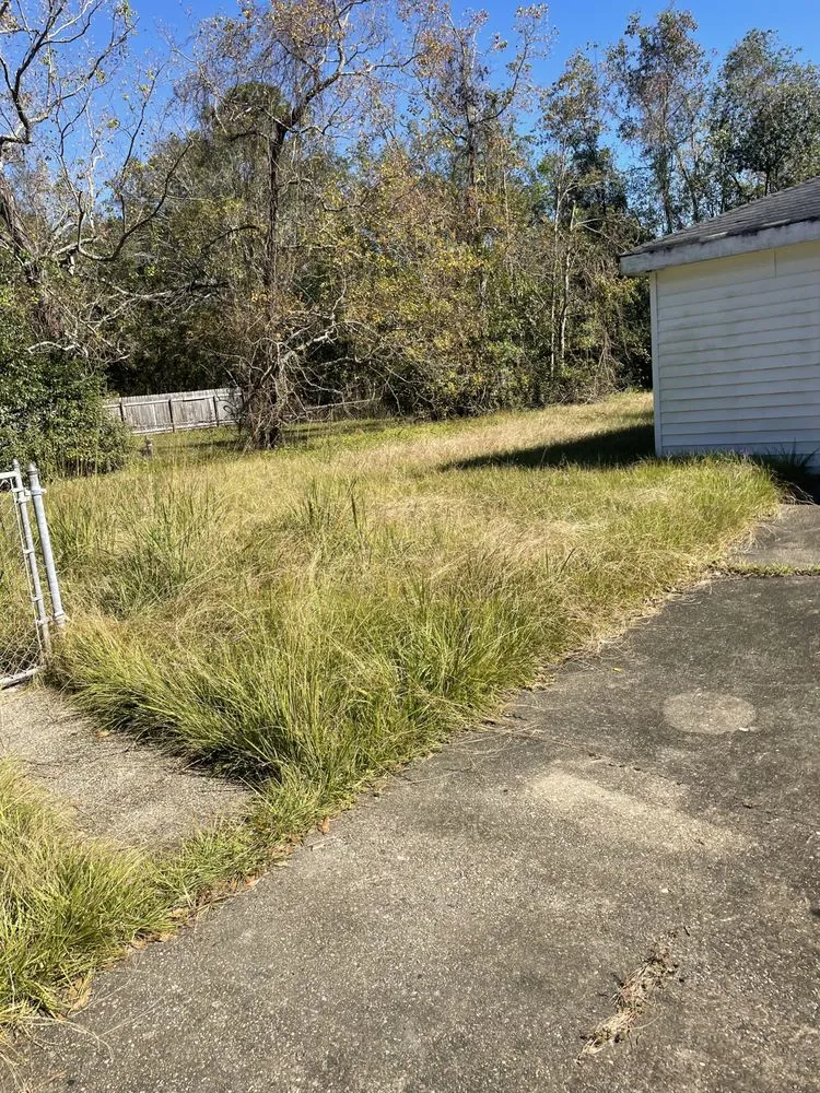 Local yard cleanup service in Slidell, LA by All Is Wells Quality Services