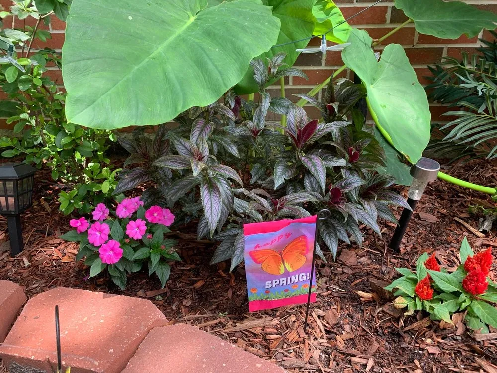 Reliable landscape installation for homes across Slidell, LA - All Is Wells Quality Services