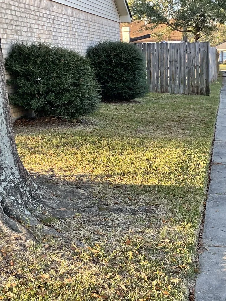 Professional landscaping services in Slidell, LA - All Is Wells Quality Services