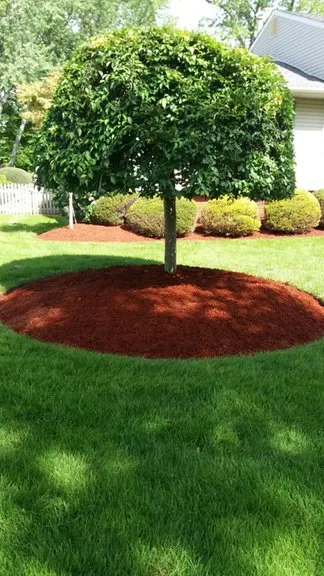 Trusted landscape design for residential properties in Belmar, NJ by All Jersey Landscaping